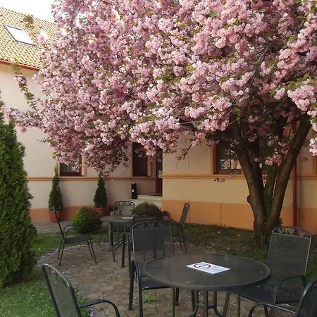Pannon Hotel Maganparkoloval, With Private Parking Lot, Bejelentkezes 20 Oraig,Check-In Until 20 O'Clock 3*