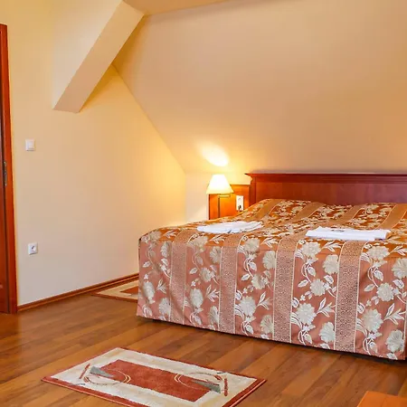 Hotel Pannon Hotel Maganparkoloval, With Private Parking Lot, Bejelentkezes 20 Oraig,Check-In Until 20 O'Clock