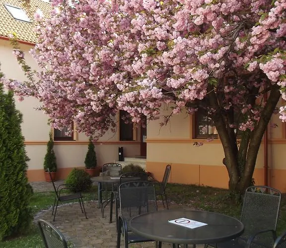 Pannon Panzió 3*