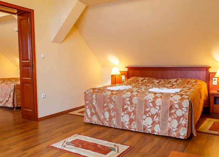 호텔 Pannon Bejelentkezes 20 Oraig, Check-in Until 20 O'clock, Einchecken Bis 20 Uhr