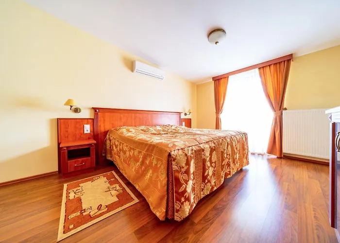 호텔 Pannon Bejelentkezes 20 Oraig, Check-in Until 20 O'clock, Einchecken Bis 20 Uhr 3*